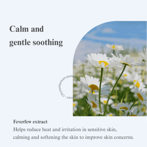 Laperi Calming Phyto Gel Mist (50g) - Image 5
