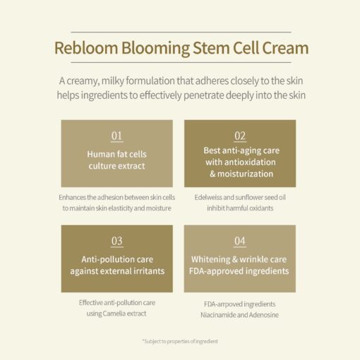 Rebloom Luxury Blooming STC Cream (50g) - Image 4