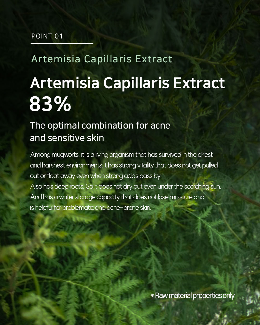 Dr. Sante Artemisia AKA Toner (200ml) - Image 4